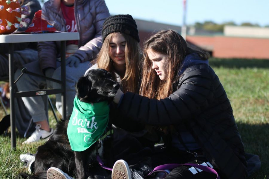 Sitting with a dog, juniors Claire Burke and Parker Trollinger help run one of the booths.