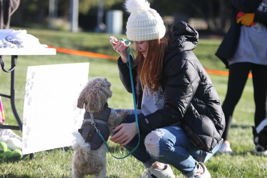 Crouching down, sophomore Lauren Butler feeds her dog whipped cream.