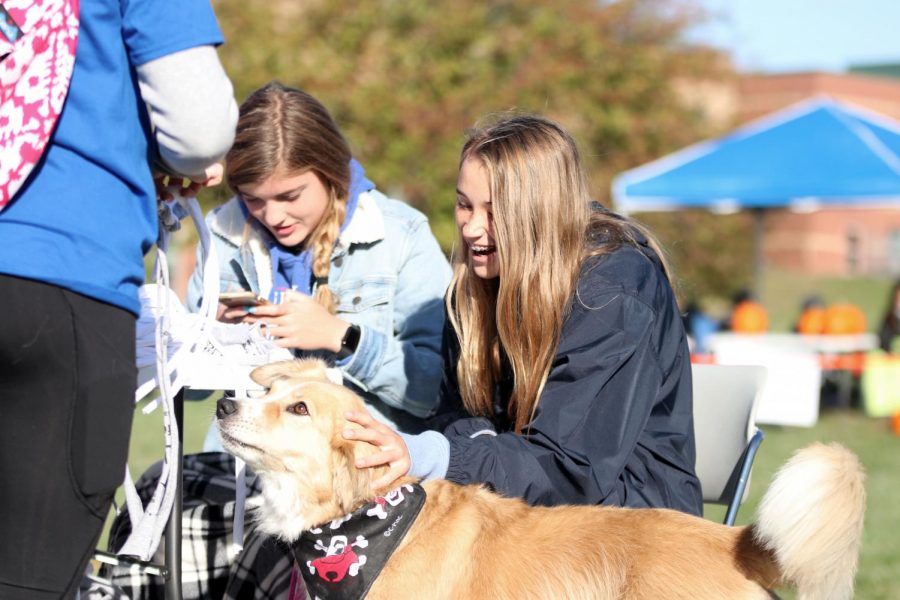 Petting a dog, freshman Libby Strathman helps run a booth.