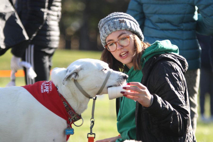 Holding a cup, sophomore Maddy Williams feeds her dog a treat.