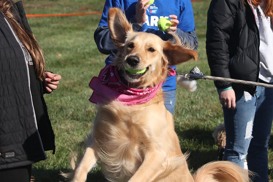 Holding a ball, Sunny wins the award for catching the most tennis balls.