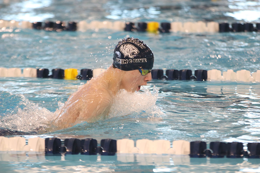 Freshman Adam Budimlija swims the breaststroke portion of the 200-yard medley relay.
