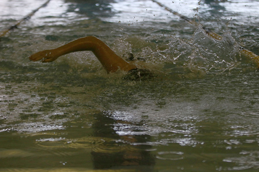 Progressing toward the flags, freshman Adam Budimlija swims the 200 meter freestyle. 