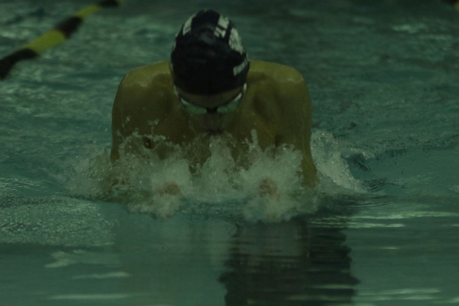 Junior Cole McClure dives back underwater during the 100 meter breaststroke.