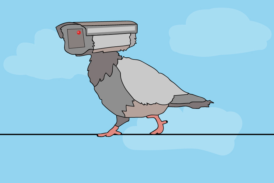 bird spy drone