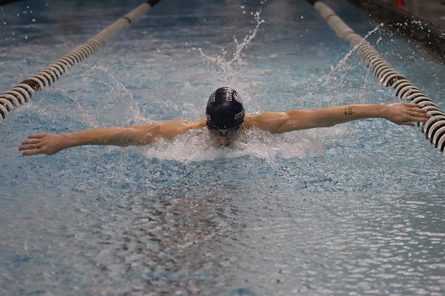 Freshman Anthony Molinaro swims in the 100-yard butterfly.