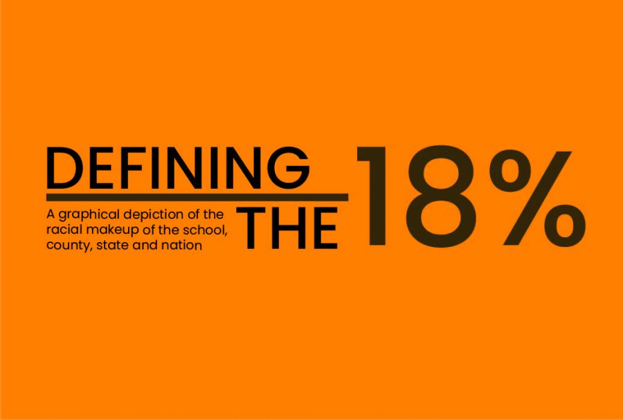 Looking+at+our+racial+demographics