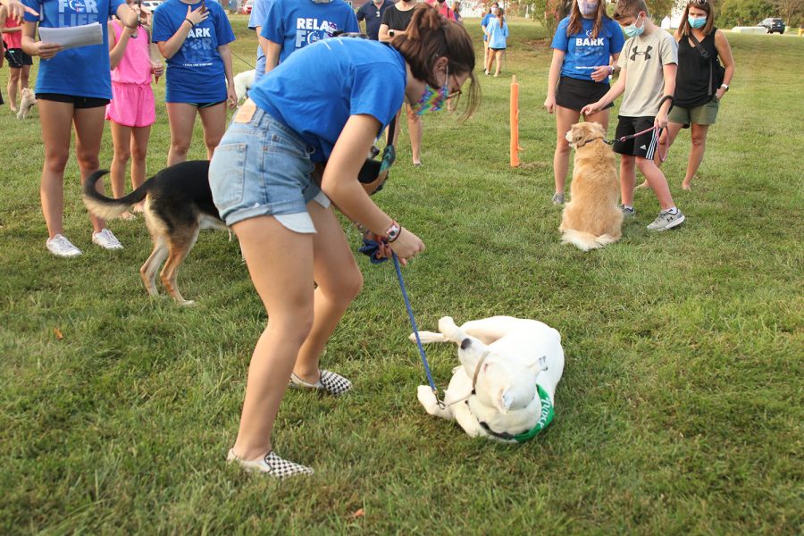 Rolling over, junior Maddy Williamss dog Frosty wins the Most Obedient Dog contest.