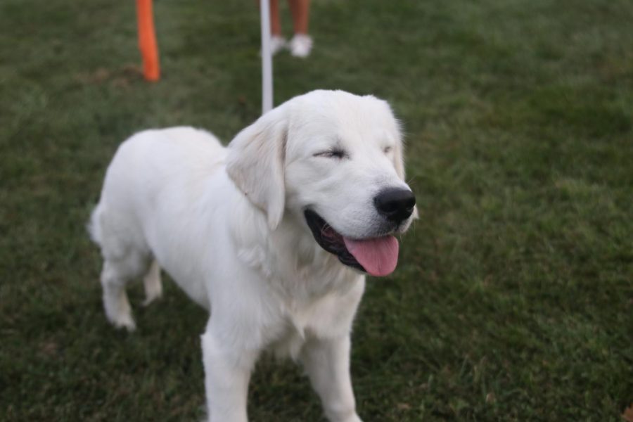 Eyes closed, senior Emma Schieber’s dog Leo smiles for the camera.