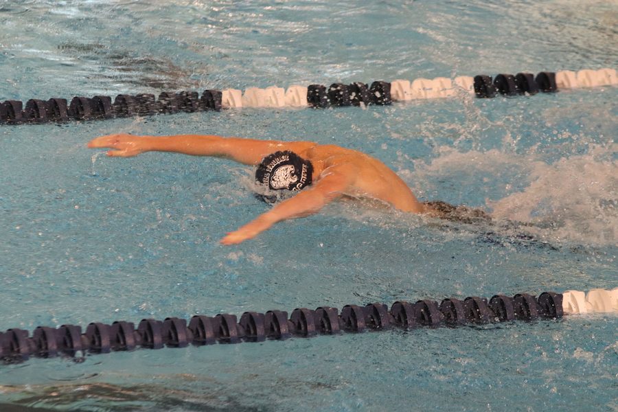 Swimming butterfly, sophomore Anthony Molinaro completes his portion of the 200-yard medley relay. 