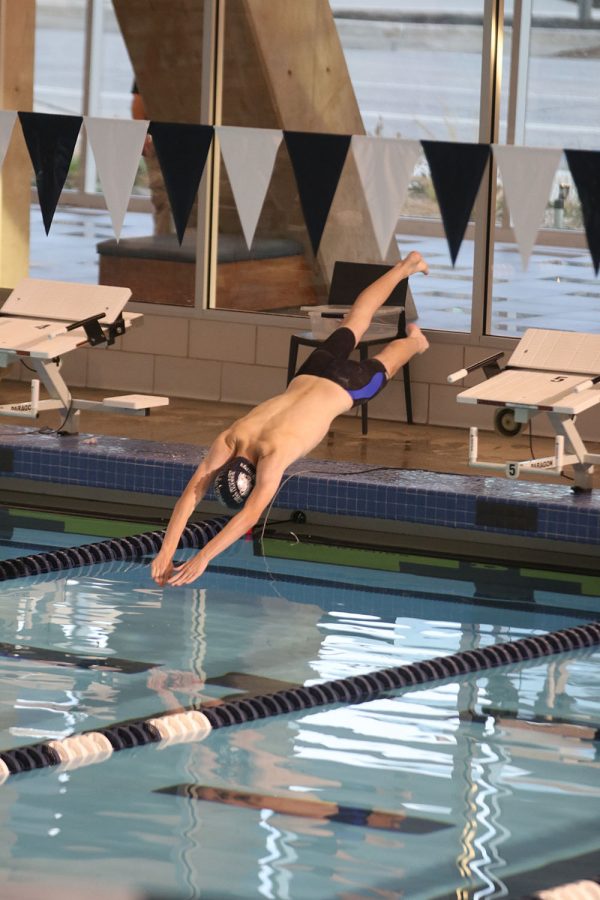 Jumping off the starting block into the water, sophomore Alec Forristal starts off his 50-yard freestyle race.