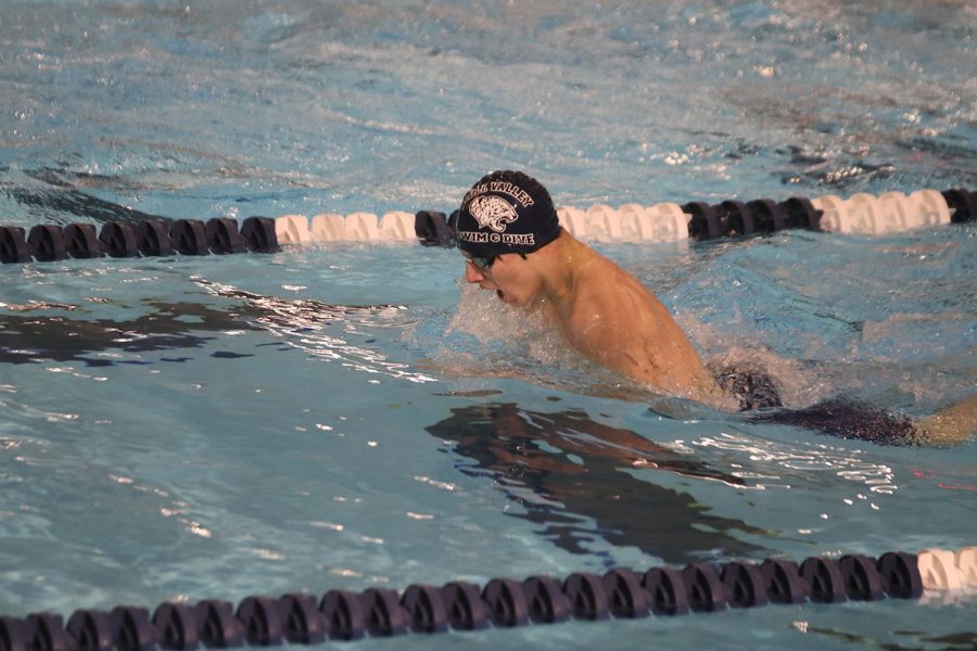 Coming up for a breath, sophomore Adam Budimlija competes in the 100-yard breaststroke.
