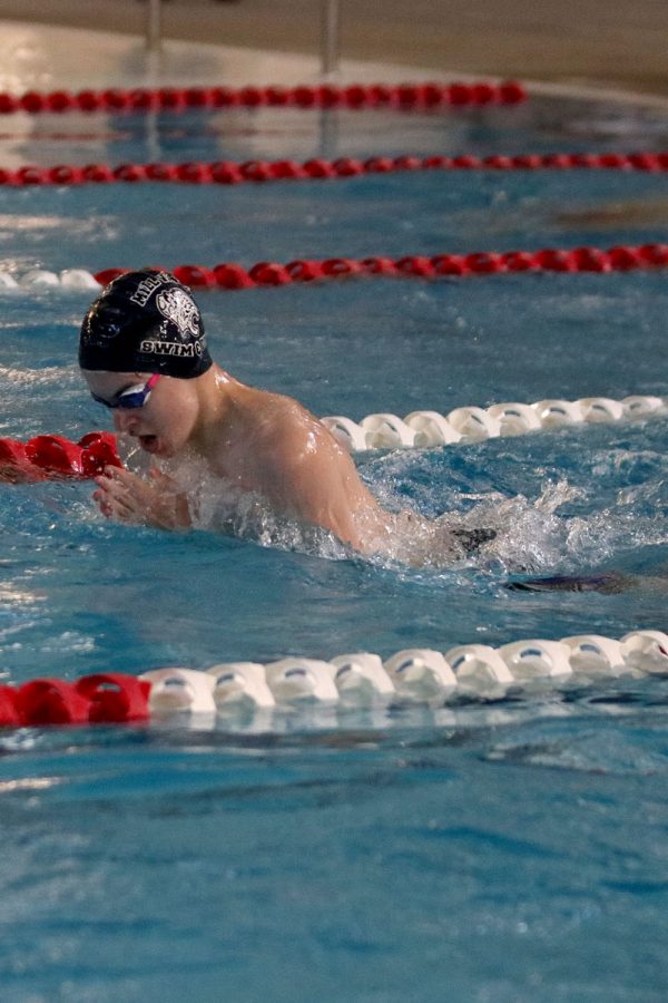 Focusing, sophomore Alec Forristal comes up for air while competing in breaststroke.
