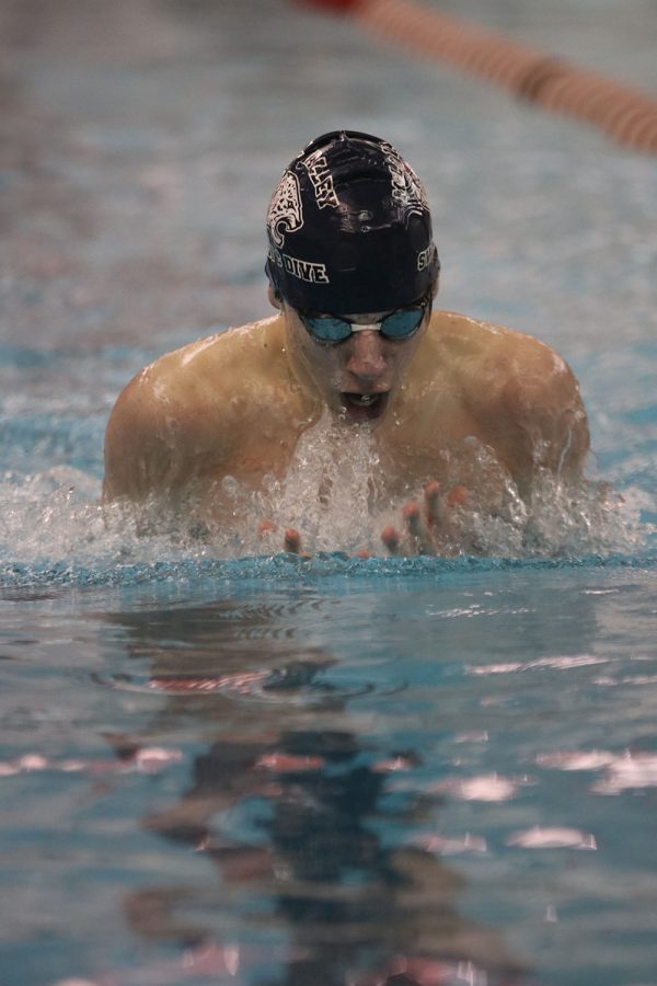 Swimming the 100-yard breaststroke, sophomore Adam Budimlija places fifth overall with a time of 1:12.10. 