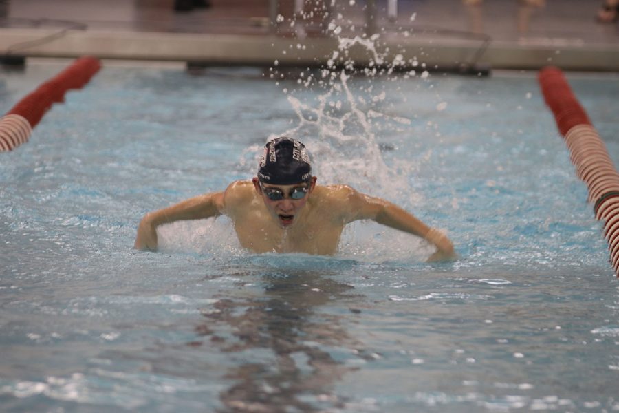 Coming up for air, freshman Andre Arnold swims butterfly.
