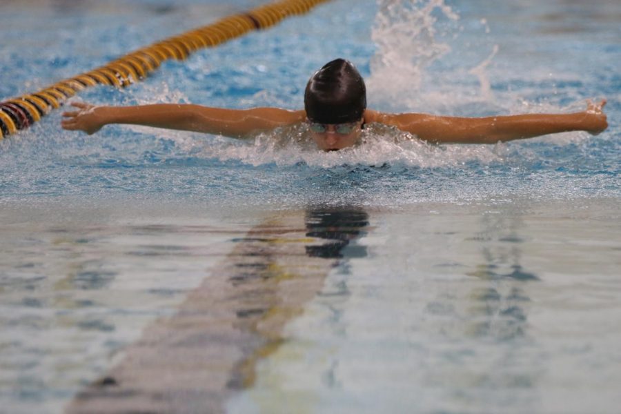 With her arms placed behind her, freshman Sireen Fraitekh swims the butterfly.