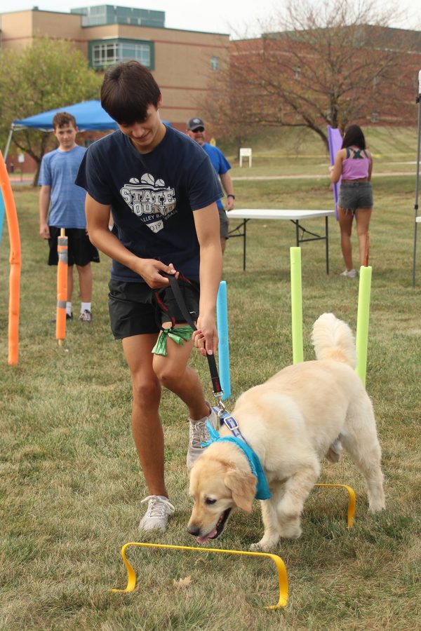 Feet in motion, senior Brock Olson completes the obstacle course with a golden retriever. 
