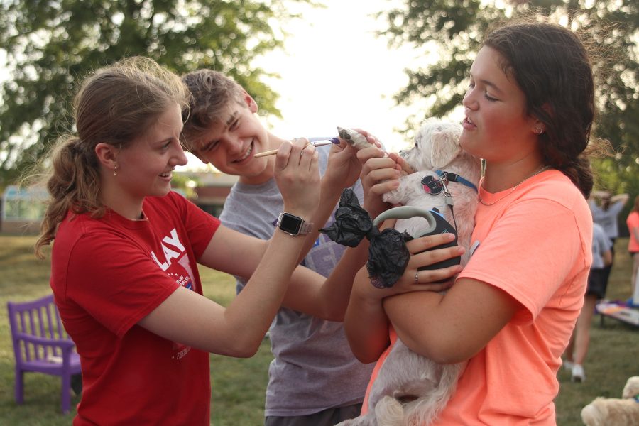 Paintbrush in hand, senior Ella Lorfing applies paint to a dog’s paw while seniors Sydney Wootton and Bret Weber laugh. 