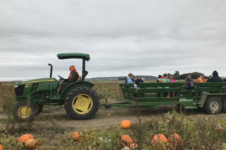 A wagon full of people ready to find their perfect pumpkin drive by.
