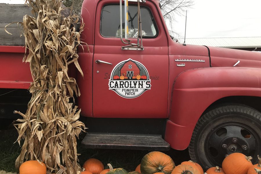 The logo of Carolyn’s Pumpkin Patch is displayed on a truck surrounded by piles of pumpkins.