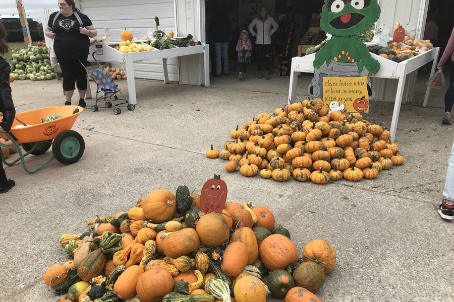 Piles of pumpkins located outside the gift shop/exit are ready for purchase.