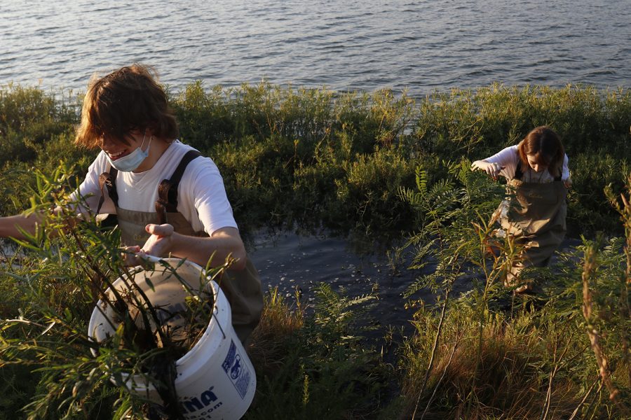 While walking up the hill, seniors Jack Brown and Soledad Stevanov take their plant roots in a bucket to the car.