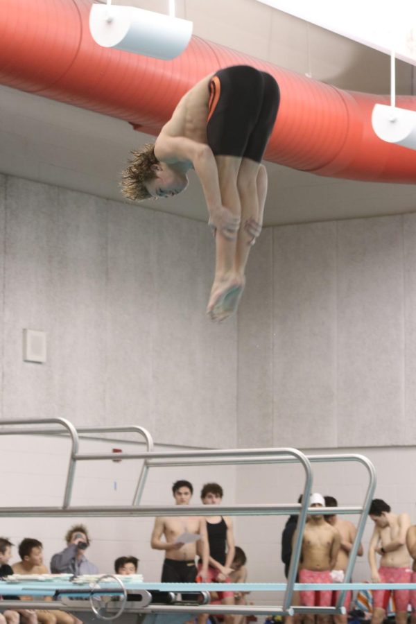 In a pike position, sophomore Max Roh dives headfirst into the water. Roh earned the team 222.55 points overall. 