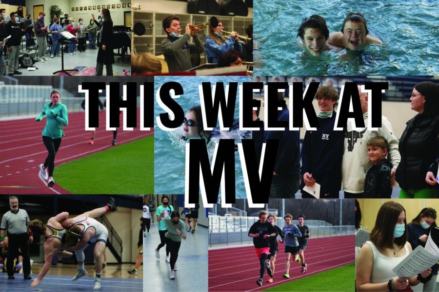 This Week at Mill Valley