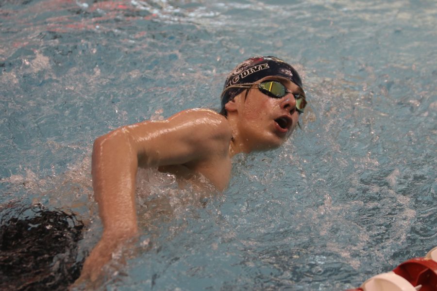 Focused, junior Adam Budimlija swims the 50-yard freestyle Thursday, Jan. 27 finishing with a time of 26.41 seconds. 