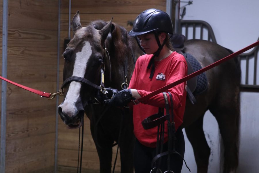 Putting her horse away, sophomore Bryn Simpson leashes up her horse.