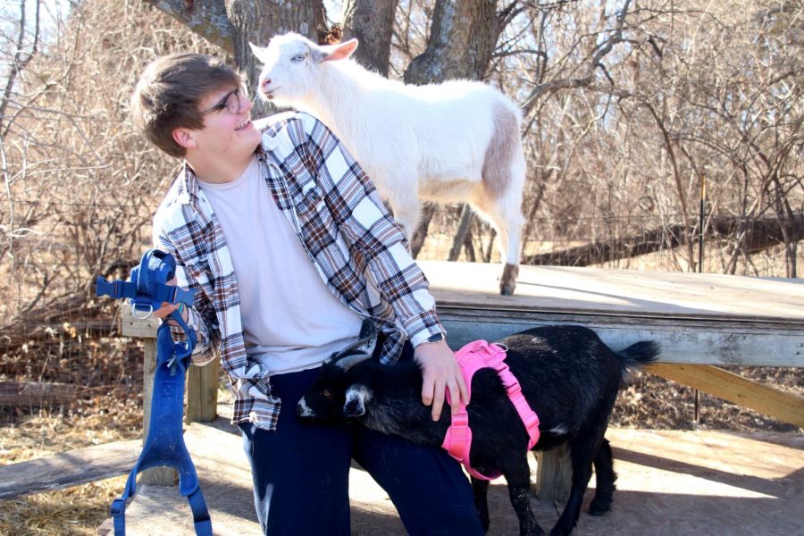Sophomore Blake Powers and his mother own two goats named Jack and Jill. The goats live in Blake’s moms daycare in a cage in the playground. The cage has toys, food bins, and climbing parts for the goats.