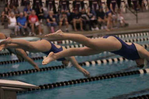Girls swim competes in their final season meet before postseason begins