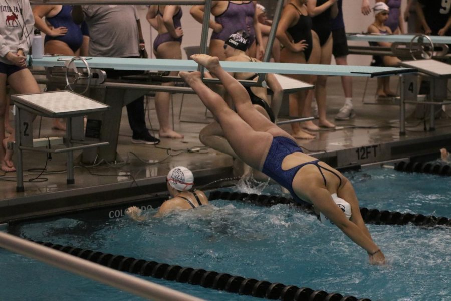 Junior Eva GarciaCuenca dives into the pool getting ready to swim the 200 yard Freestyle Relay getting a time of 1:54.75