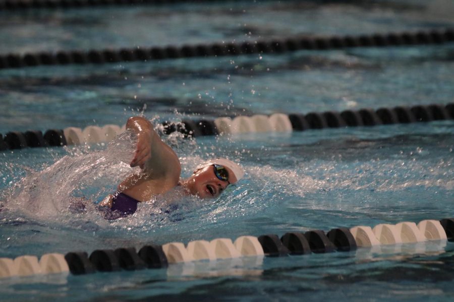 Swimming at the Shawnee Mission Aquatic Center, sophomore Ella Hansen approaches the end of the heat Friday, May 6.