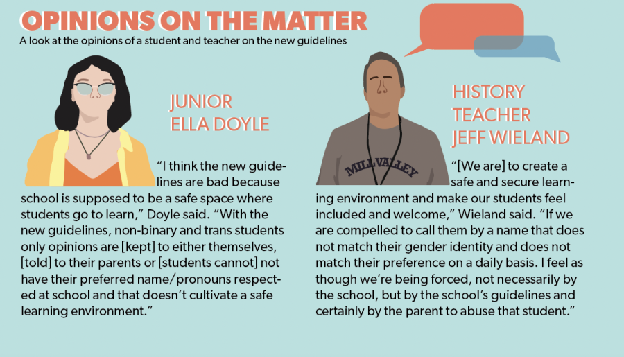 Pronoun Policy- Opinions