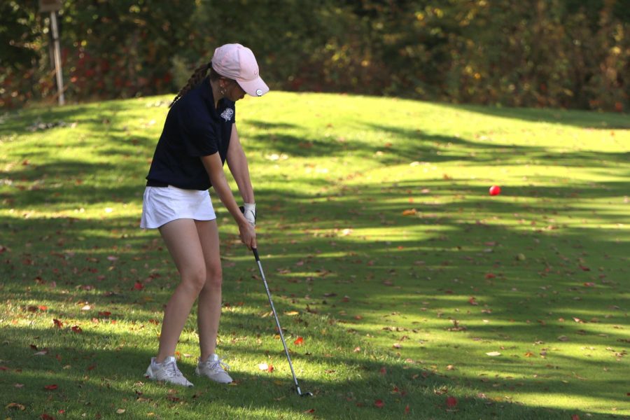 After her ball landed in the grass, senior Paige Dinslage chips at the ball to get it closer to the hole. 
