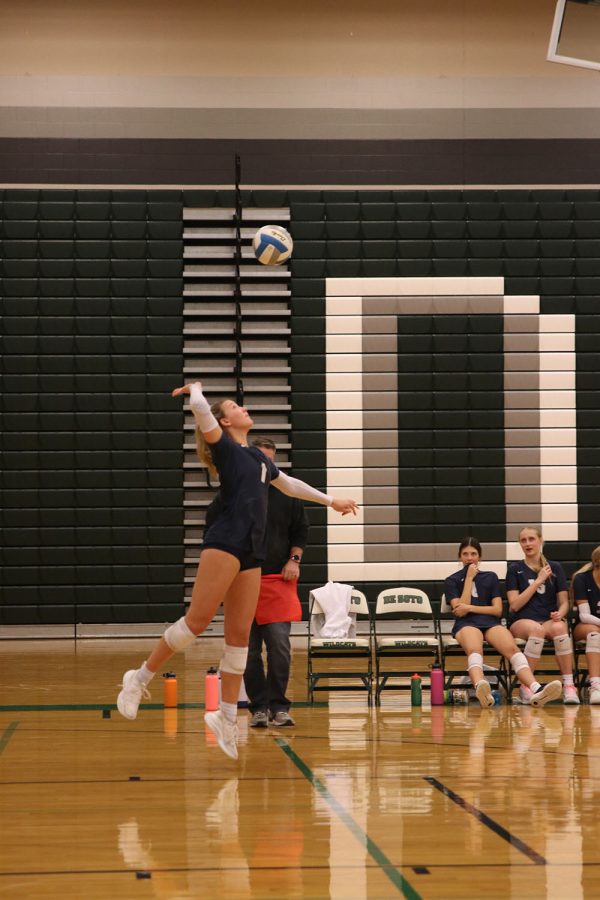 Jumping up, senior Madeline Schnepf serves the ball over.
