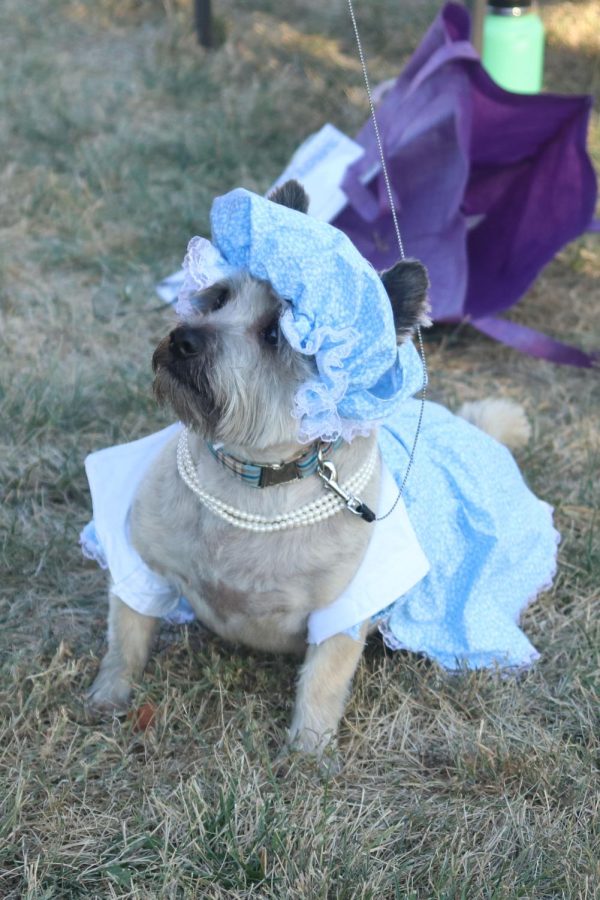 After winning the costume contest, Kobe poses for a picture.