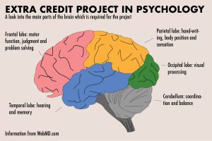 AP Psychology students complete swim cap extra credit project