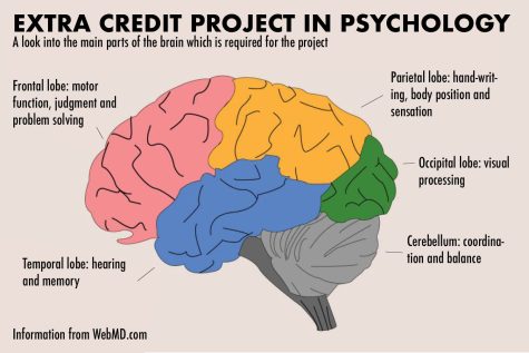 AP Psychology students complete swim cap extra credit project