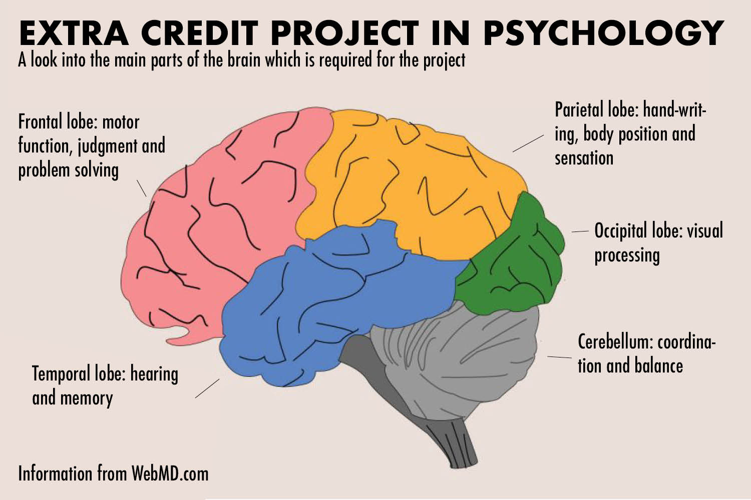 AP Psychology students complete swim cap extra credit project Mill