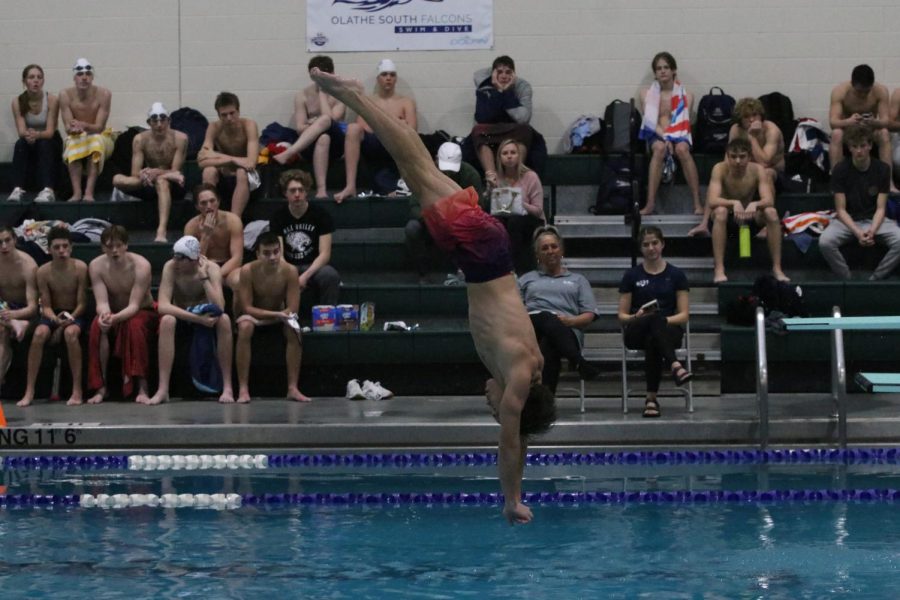 Junior Max Roh braces to meet the water during a dive