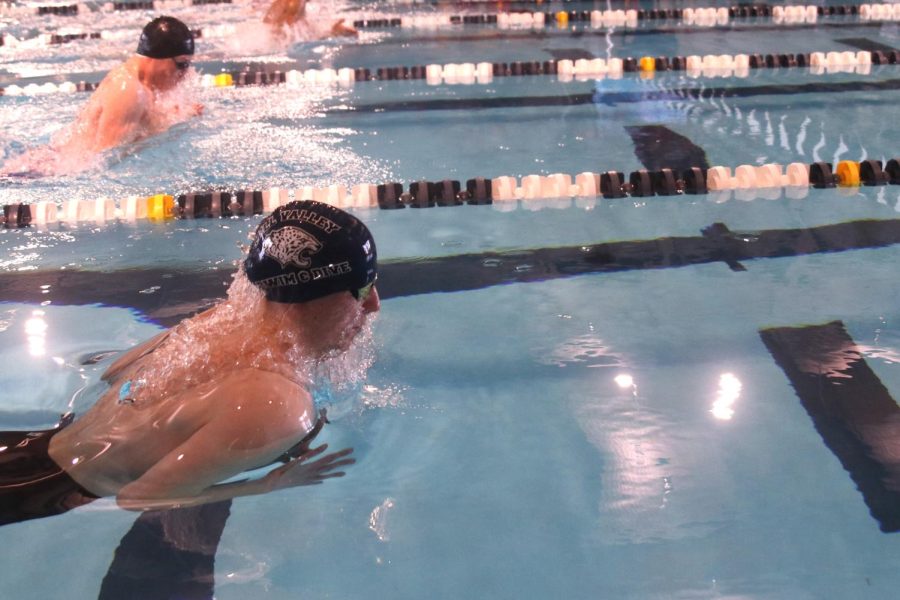 Senior Adam Budimlija surfaces above the water for a breath during the 100 yard breaststroke.