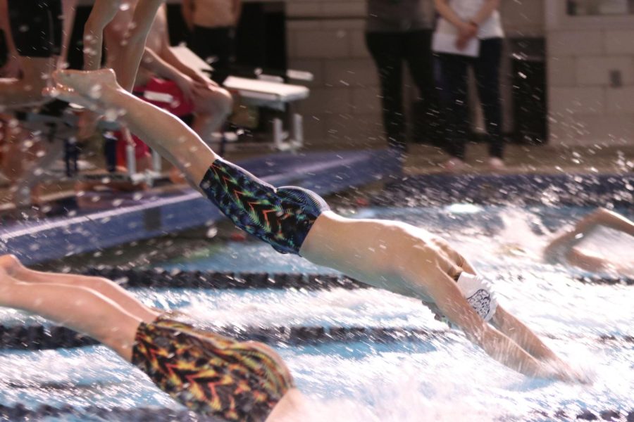 During the 400 freestyle relay, senior Anthony Molinaro into the water.