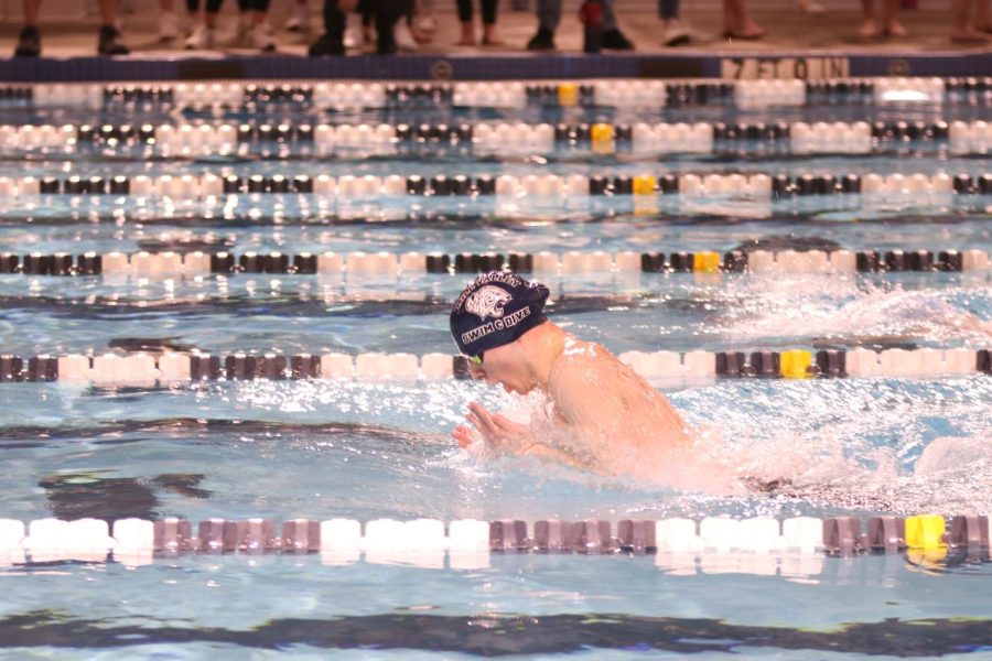 Coming up for a breath, senior Adam Budimlija swims the 100 meter breaststroke.