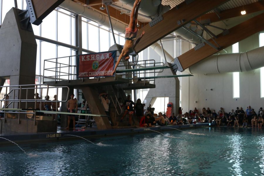 Flipping off of the board, junior Max Roh stays straight for his dive.