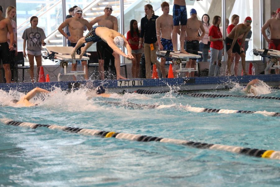 During the relay race, senior Anthony Molinaro dives off the block.