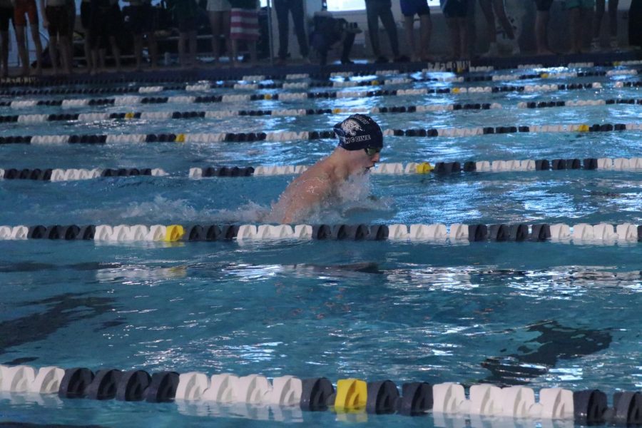 Coming up for a breath, senior Adam Budimlija races down the lane in the relay race.  