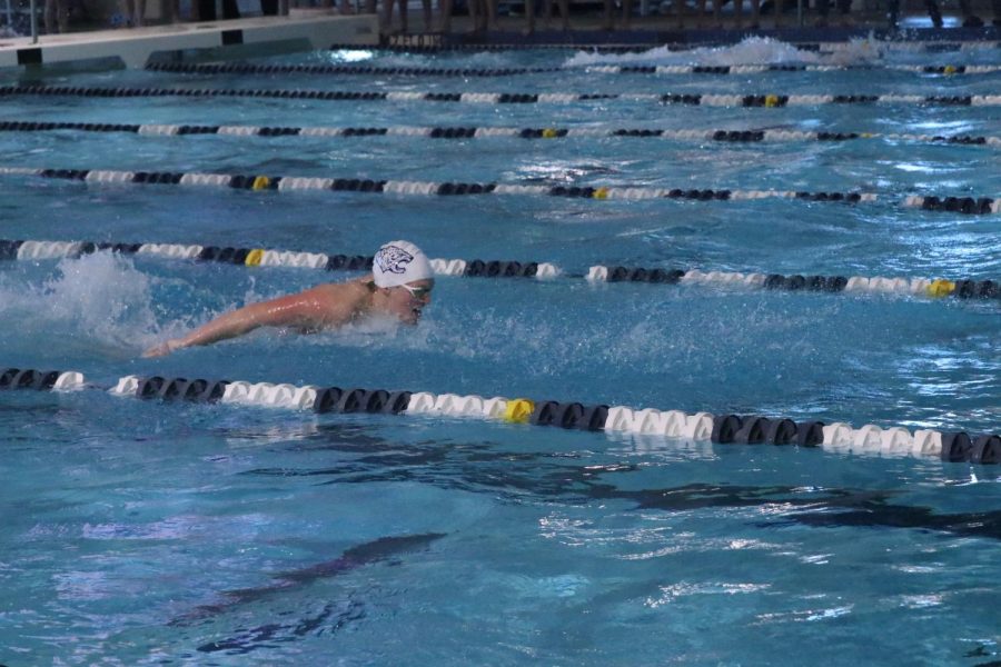 Popping his head above the water, senior Anthony Molinaro races in the butterfly race.