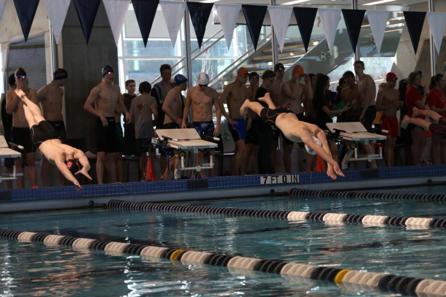 Senior Dylan Miller dives off the block for the relay race.